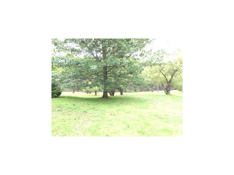 147 Shipley Road, Blackheath NSW 2785