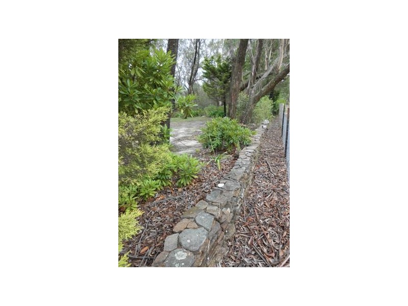 147 Shipley Road, Blackheath NSW 2785