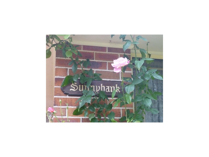 15 Radiance Street, Blackheath NSW 2785