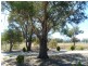 90 BLACKHEATH CREEK ROAD, Little Hartley NSW 2790