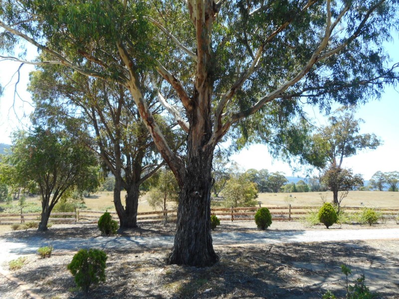 90 BLACKHEATH CREEK ROAD, Little Hartley NSW 2790
