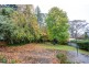 11 FOREST PARK RD, Blackheath NSW 2785