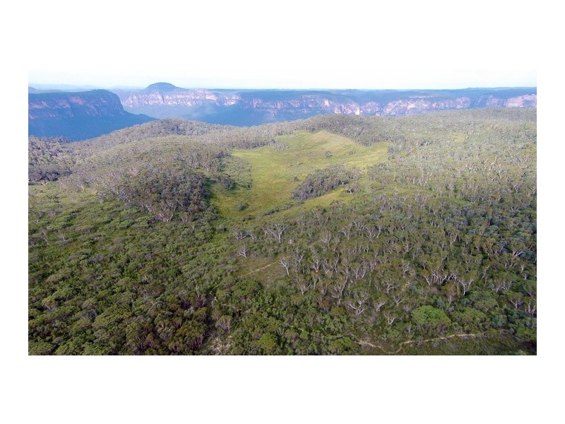 451 Hat Hill Road, Blackheath NSW 2785