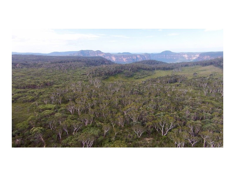 451 Hat Hill Road, Blackheath NSW 2785