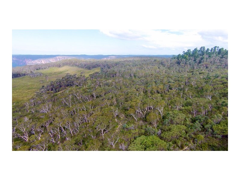 451 Hat Hill Road, Blackheath NSW 2785