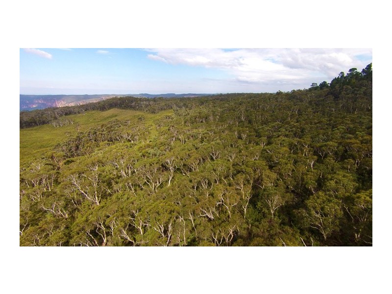 451 Hat Hill Road, Blackheath NSW 2785