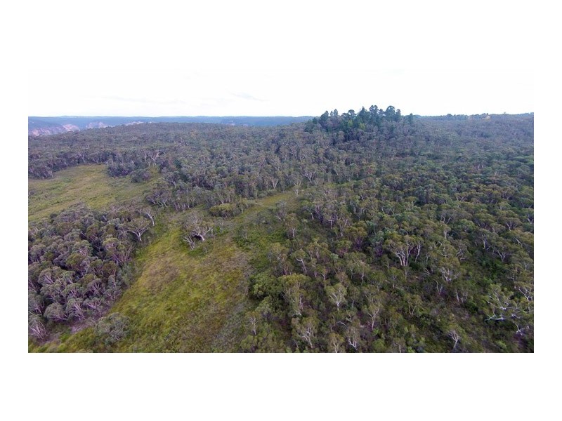 451 Hat Hill Road, Blackheath NSW 2785