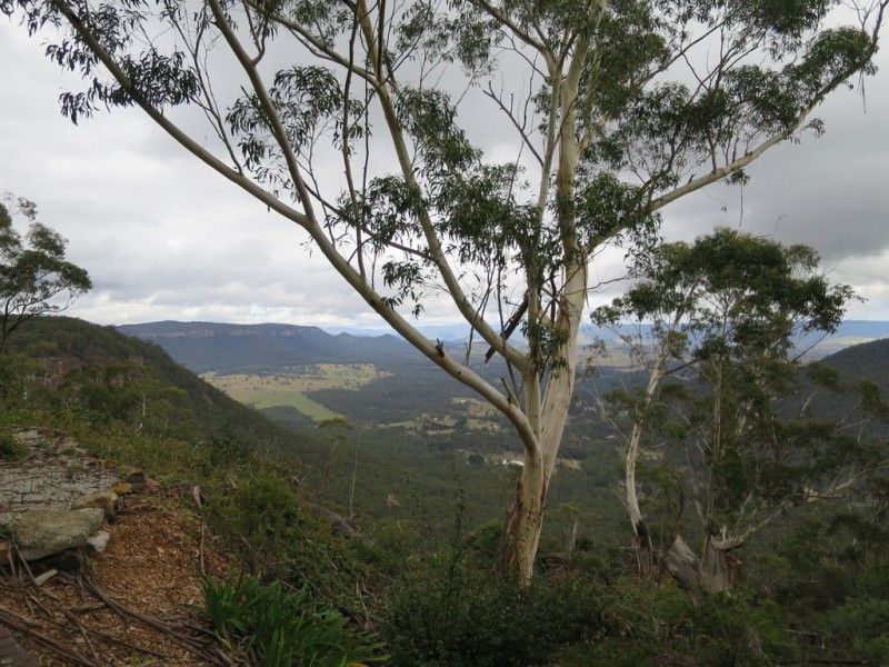 24 BEAUFORT AVE, Mount Victoria NSW 2786