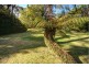 39 Second Street, Blackheath NSW 2785