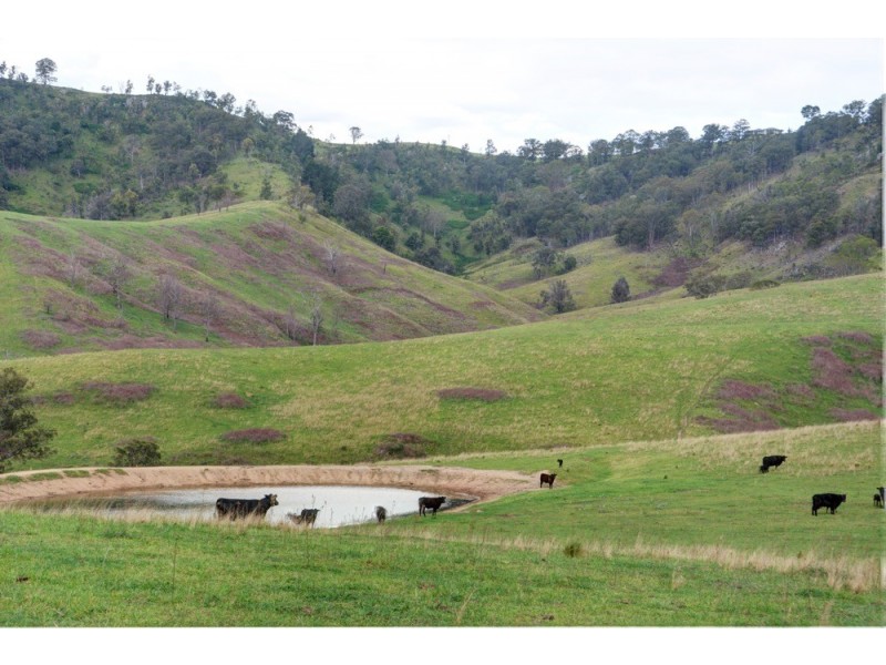 Lot 102 Ward Road, Megalong NSW 2785