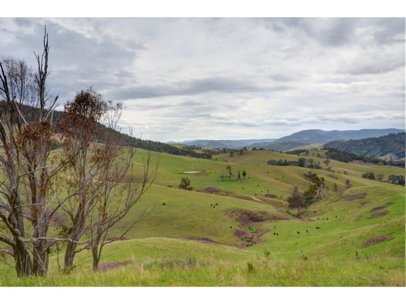 Lot 102 Ward Road, Megalong NSW 2785