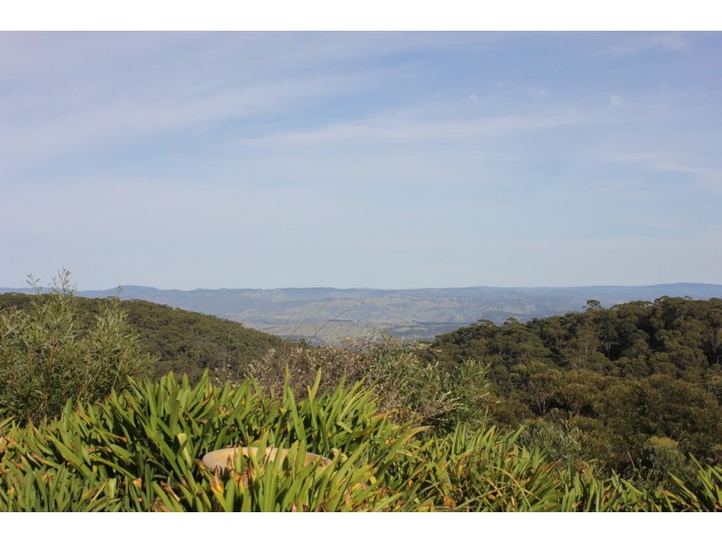 16 Lookout Street, Blackheath NSW 2785