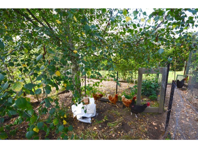 1a Kanimbla Street, Blackheath NSW 2785