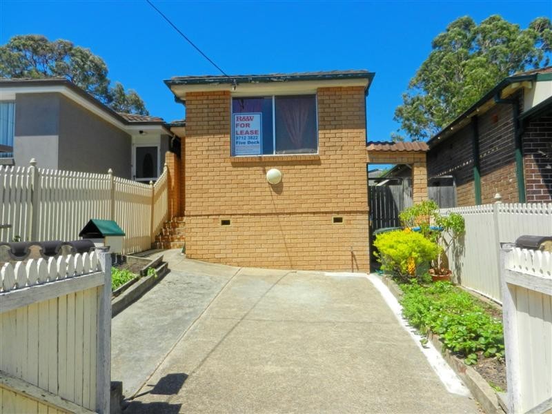 12 Lyall Street, Leichhardt NSW 2040