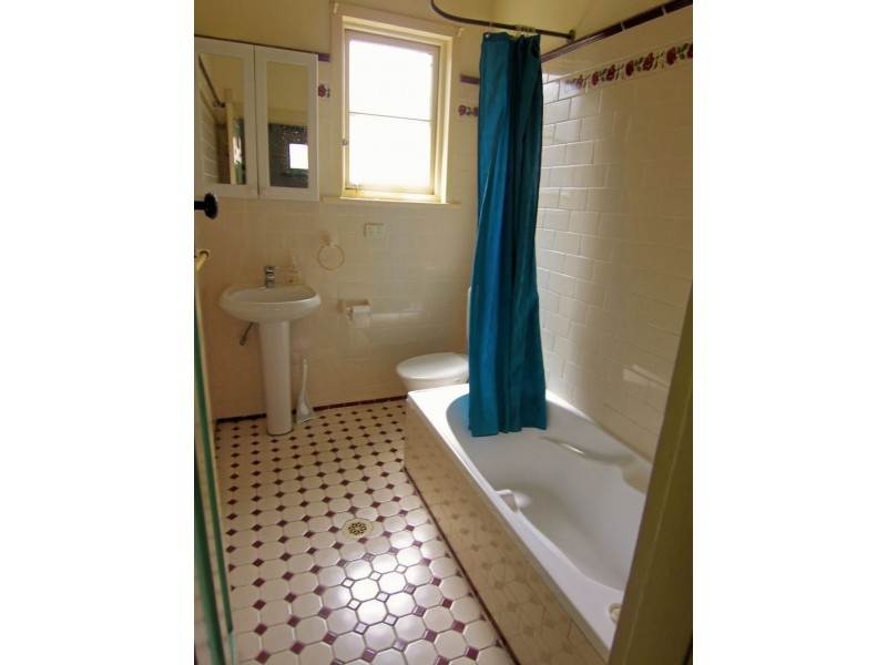 196 Hawthorne Parade, Haberfield NSW 2045