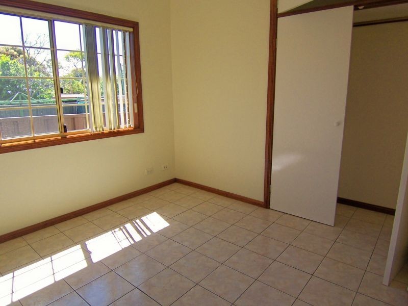 9B Palace Street, Ashfield NSW 2131