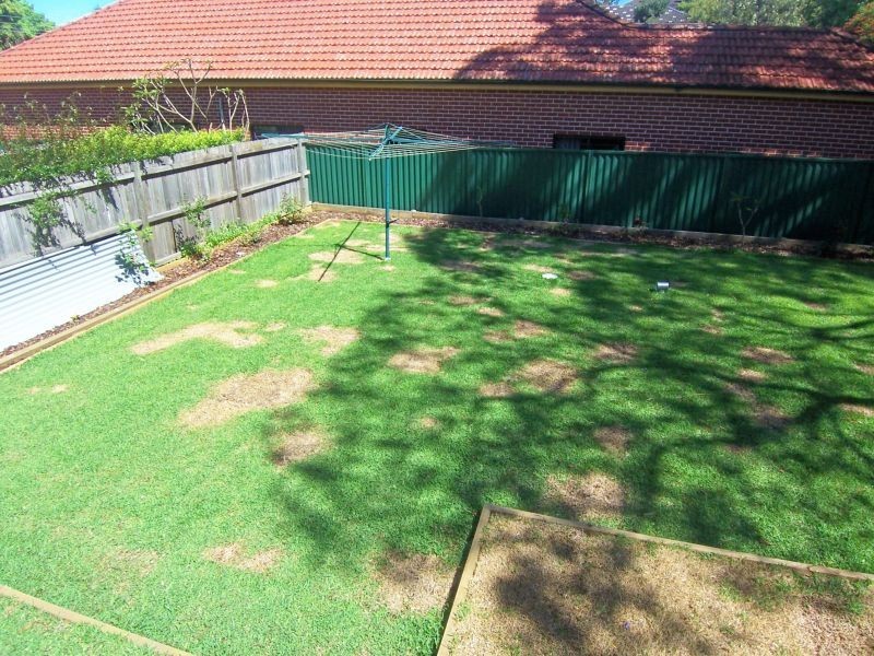 29A Regent Street, Summer Hill NSW 2130