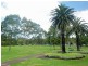 12  COBDEN STREET, Enfield NSW 2136