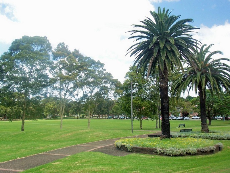 12  COBDEN STREET, Enfield NSW 2136