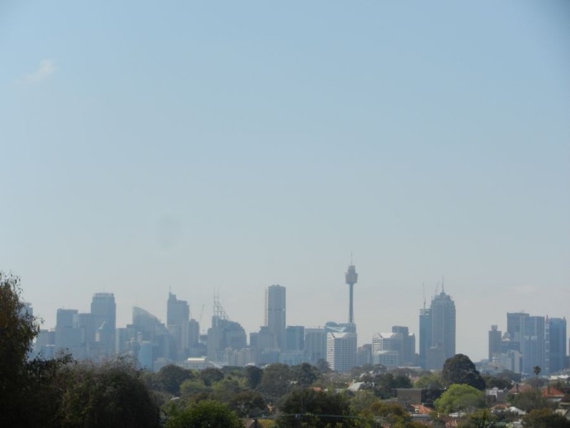 1/18 Leichhardt St, Leichhardt NSW 2040