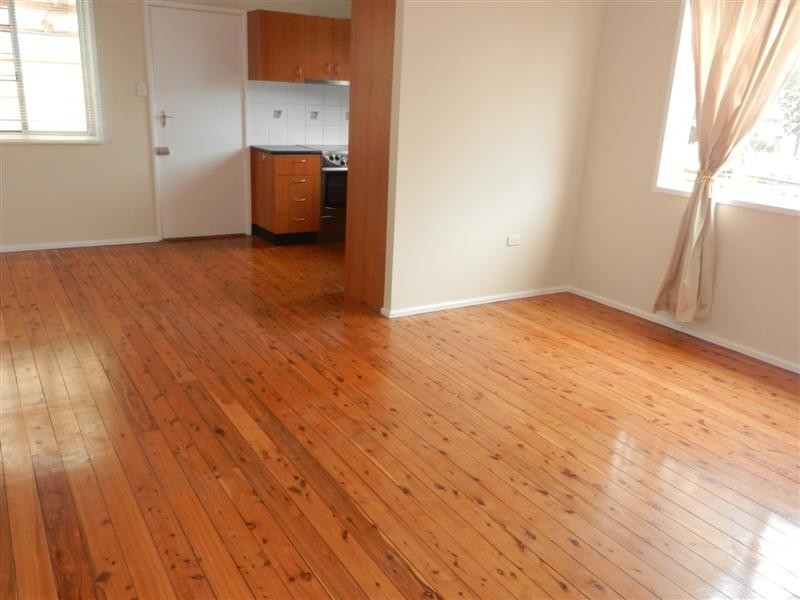 12 Lyall Street, Leichhardt NSW 2040