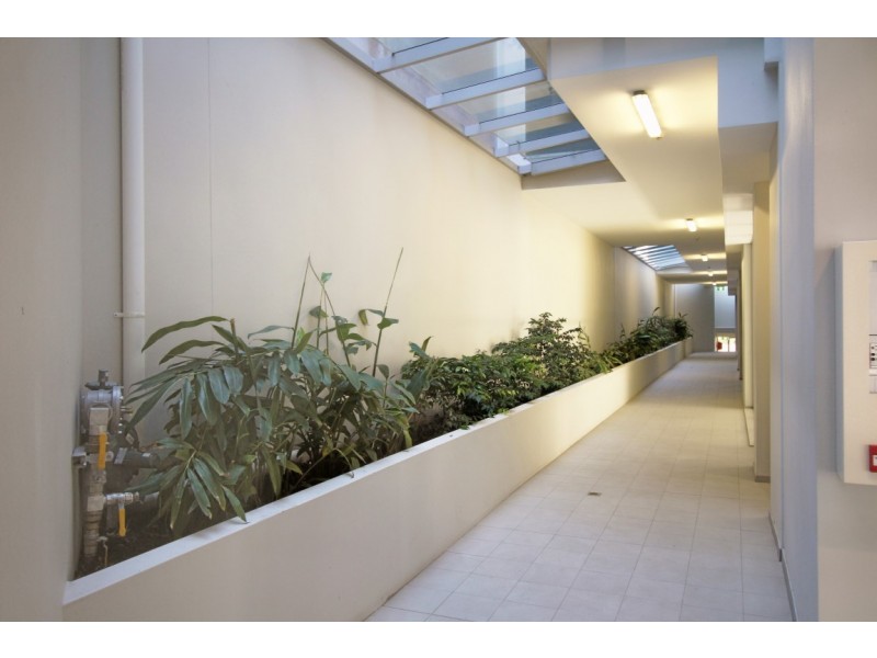 3/239 Great North Road, Five Dock NSW 2046