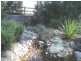 Kirkham NSW 2570