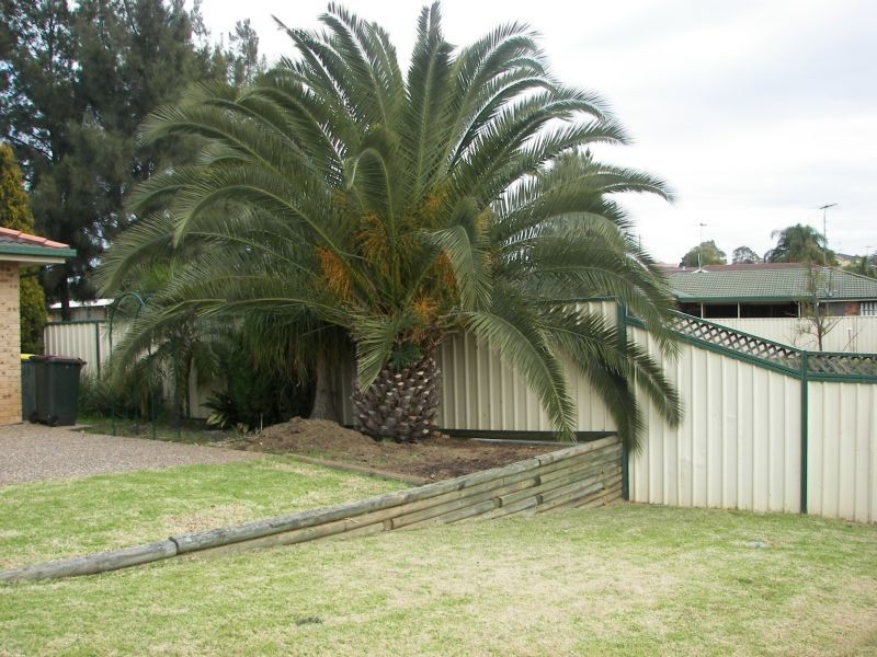 Narellan Vale NSW 2567