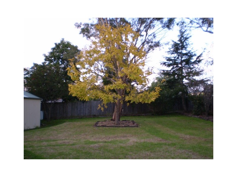 1 Blackbutt Place, The Oaks NSW 2570