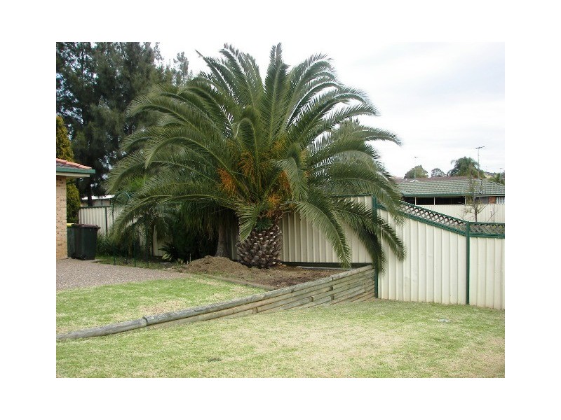 Narellan Vale NSW 2567