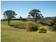 “Abbeygate” via Sunnyside Road, The Oaks NSW 2570