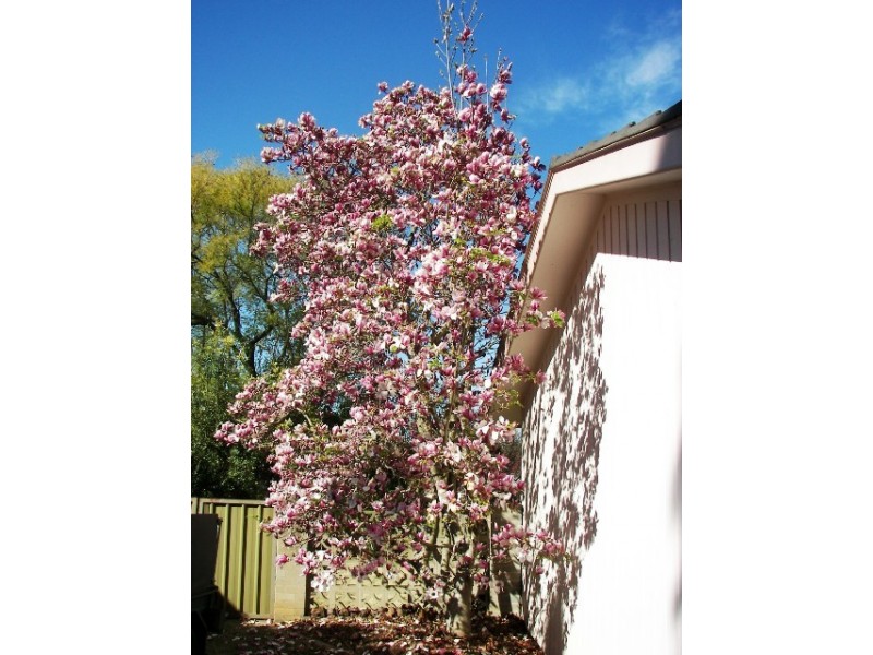 Camden NSW 2570