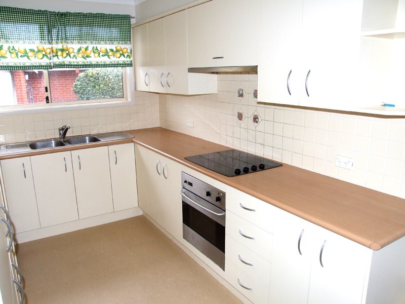 9 Levy Street, Putney NSW 2112