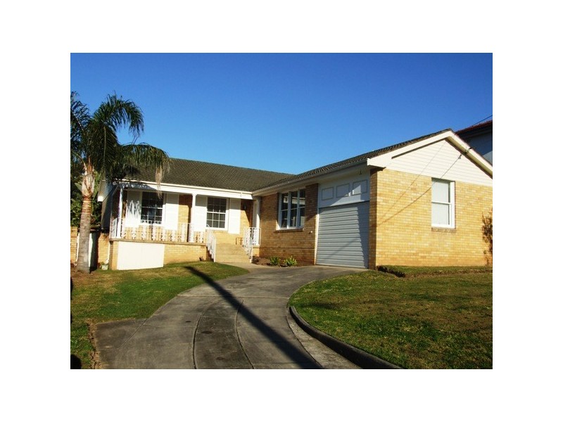 19 Swan Street, Gladesville NSW 2111