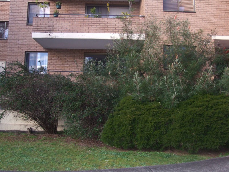 2/2 Pearson Street, Gladesville NSW 2111