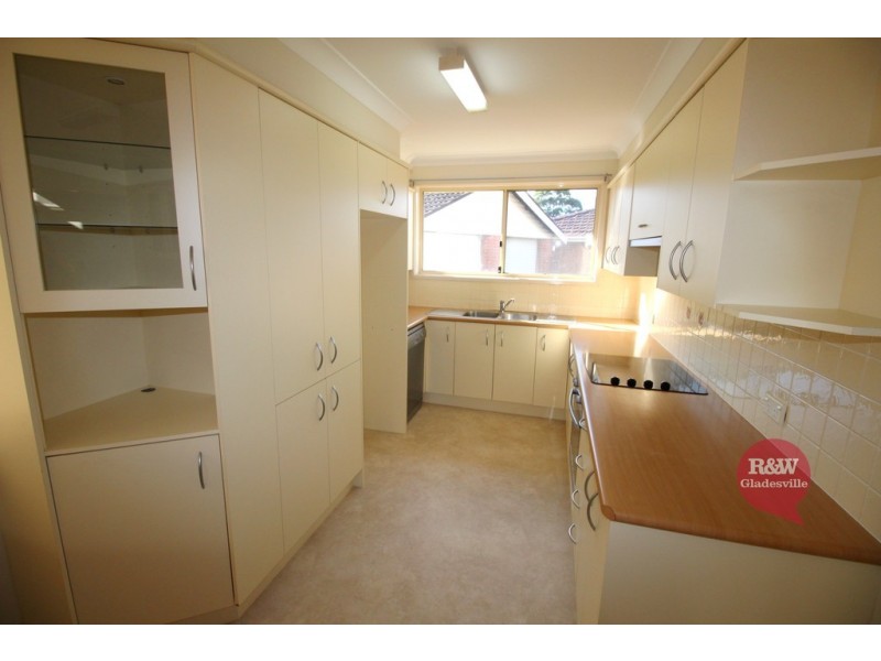 9 Levy Street, Putney NSW 2112