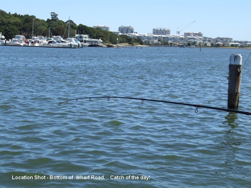 16/24-30 Wharf Road, Gladesville NSW 2111