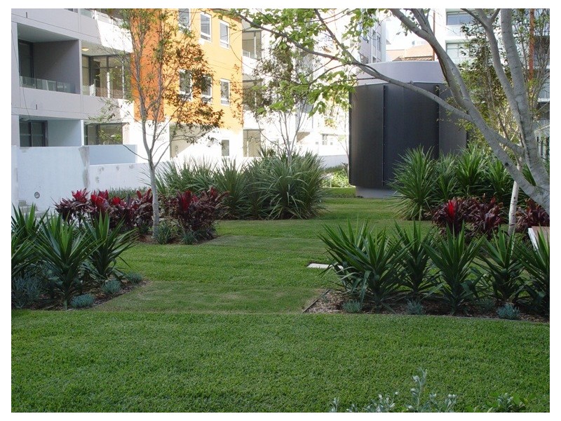 914/1 Bruce Bennet Place, Maroubra NSW 2035