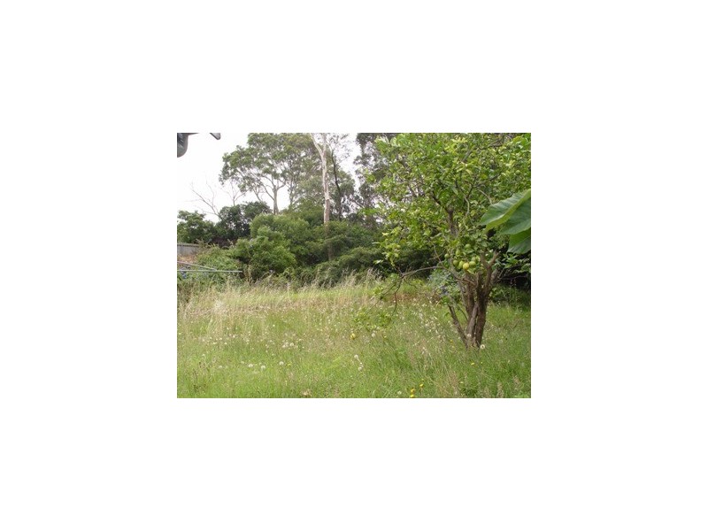 17 Walter Street, Willoughby NSW 2068