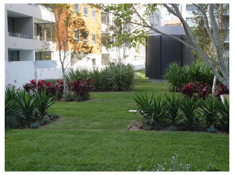 603/717 Anzac Parade, Maroubra NSW 2035