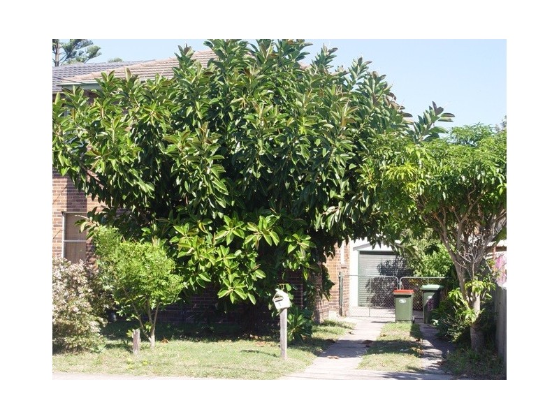 1  Kenny Avenue, Chifley NSW 2036