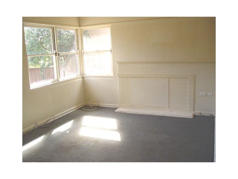 169 Robey Street, Maroubra NSW 2035