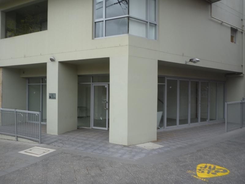 42/1  Goodsell Street, St Peters NSW 2044