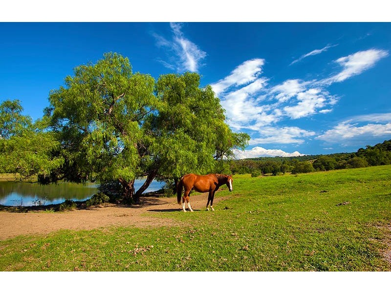820 Cawdor Road, Cawdor NSW 2570