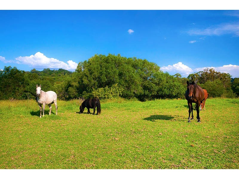 820 Cawdor Road, Cawdor NSW 2570