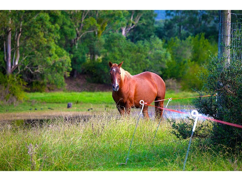 820 Cawdor Road, Cawdor NSW 2570