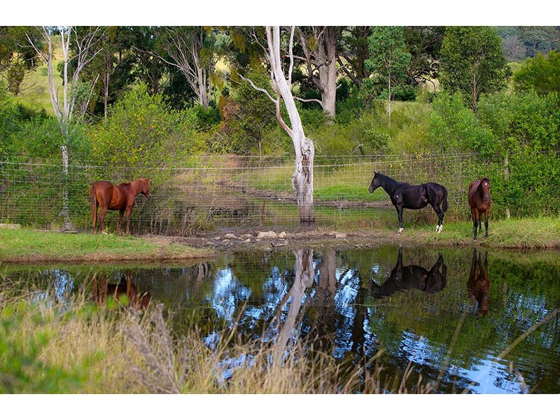 820 Cawdor Road, Cawdor NSW 2570
