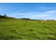 820 Cawdor Road, Cawdor NSW 2570
