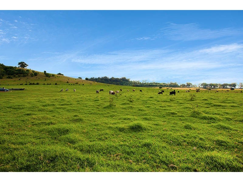 820 Cawdor Road, Cawdor NSW 2570