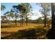 51 Hill Street, Tomerong NSW 2540